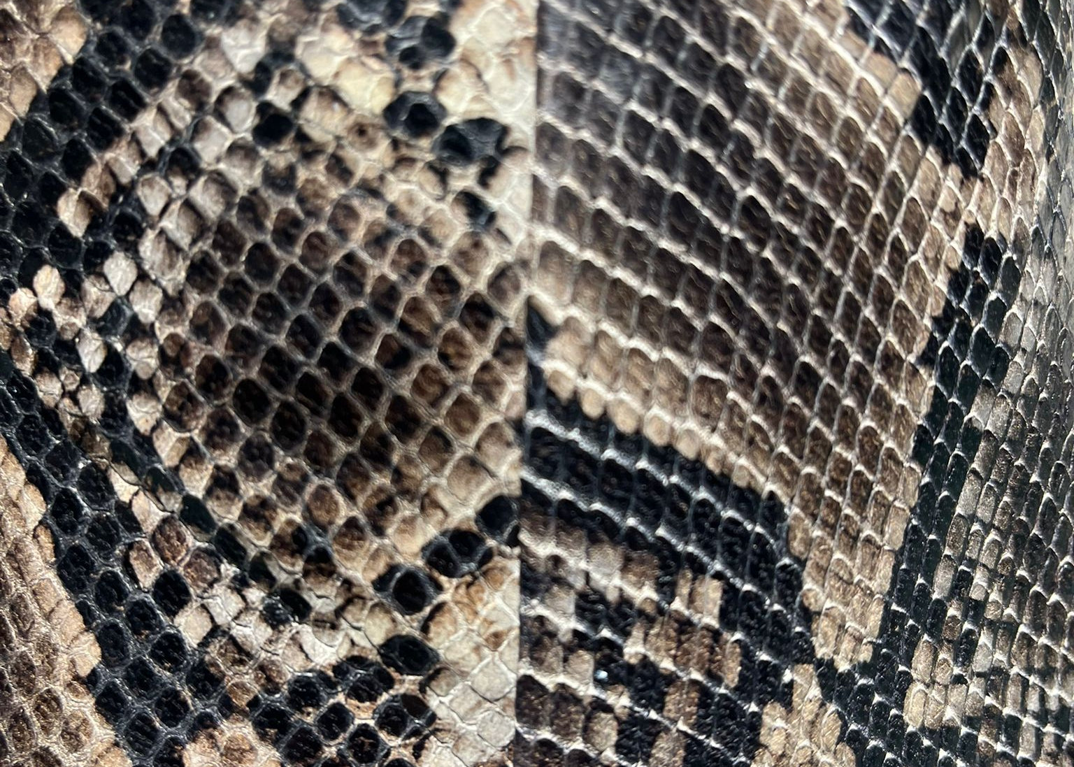 VIA VAI - SUZY FRANKY